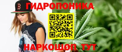 альфа пвп Заволжье