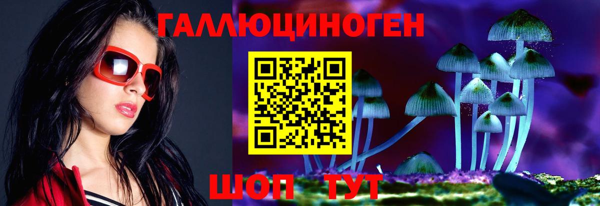 Псилоцибиновые грибы мицелий  Вход с VPN  Новозыбков 